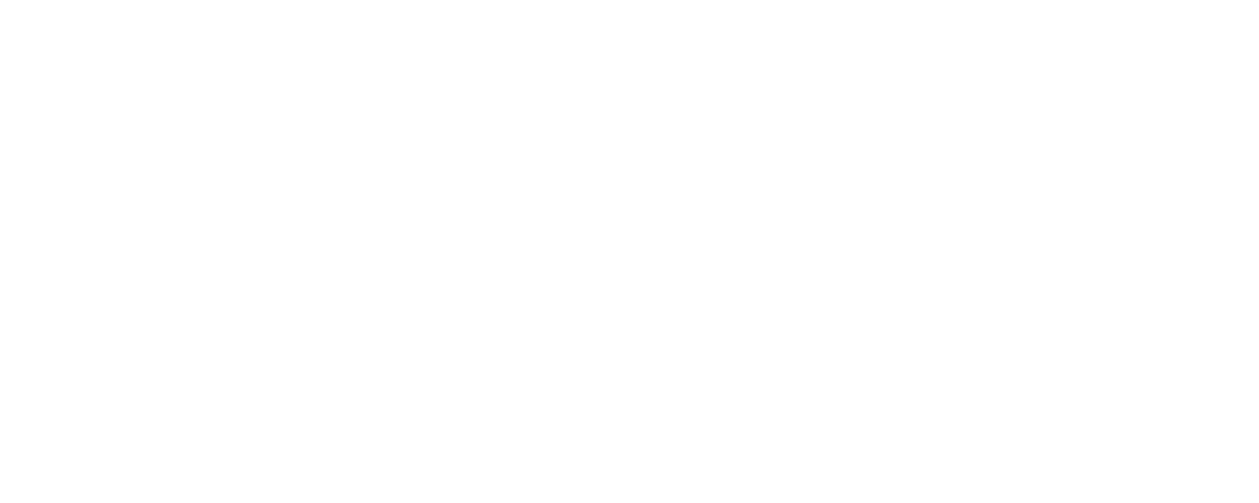 Vuono Group